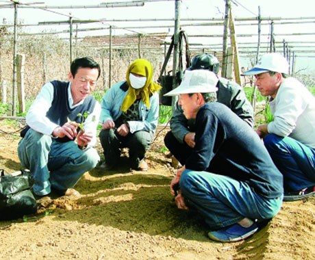 “草莓教授”姜卓俊的小目标：让草莓全年不间断新鲜上市